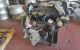 Motor F9Q1758 - F9Q758 Renault Laguna II 1.9 dCi (BG1A, BG1V) (130 cv)