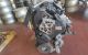 Motor F9Q1758 - F9Q758 Renault Laguna II 1.9 dCi (BG1A, BG1V) (130 cv)