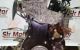 Motor M9R786 Renault Trafic II Furgón (FL) 2.0 dCI 115 (FL01, FL0U) (114 cv)