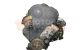 Motor rfn Fiat Scudo (270_, 272_) 1.6 D Multijet (90 cv)