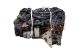Motor s63 Bmw X6 (G06, F96) M50 i xDrive (530 cv)