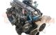 Motor SD33 Nissan Patrol Hardtop (K160) 3.2 D (K160) (95 cv)