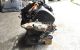 Motor BCB Seat Leon I (1M) 1.6 16V (105 cv)