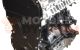 Motor SRFC Ford Transit Caja/Chasis III 2.2 TDCi (125 cv)