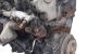 Motor ST191 Toyota Carina (T21) 1.8i (115 cv)
