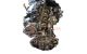 Motor T1DB Ford FOCUS III 1.6 TDCi (115 CV)
