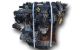 Motor TXDB Ford Focus III Wagon 2.0 TDCi (163 cv)