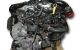 Motor TZGA Ford Grand Tourneo Connect 1.6 Duratorq TDCi (95 cv) S&S