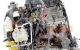 Motor U152 Ford Explorer II 4.6 i V8 24V (295 cv)