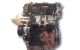 Motor UGJC Ford FIESTA VII (HJ, HF) 1.5 TDCi (85 cv)