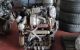 Motor BSU Volkswagen CADDY III (2K,2C) 1.9 TDI (75cv)
