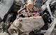 Motor ABD Volkswagen Golf III (1HX) 1.4 (60 cv)
