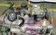 Motor ALH Volkswagen Golf IV (1J1) 1.9 TDI (90 cv)
