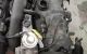 Motor Volkswagen Golf V 1.9 TDI (105 cv)