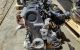 Motor ALZ Volkswagen Passat (B5) 1.6 (101 cv)