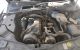 Motor DAVF Volkswagen Passat Variant (B5) 1.9 TDI (130 cv)