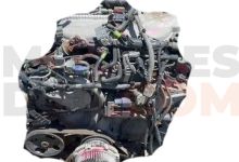 Motor VQ30DD Nissan Cedric (Y34) 3.0 i V6 24V (280 cv)