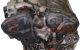 Motor XFZ Peugeot 406 (8) 3.0 24V (190 cv)