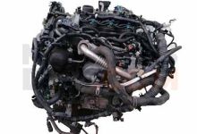 Motor XXDC Ford C-MAX II (Versión 2015) 1.5 TDCi (95 cv) 2017