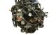 Motor YD25DDTi Nissan NP 300 Pick up (D22) 2.5 dCi (133 cv) King Cab