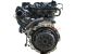 Motor YSKD Ford KA II 1.2 (69 cv)